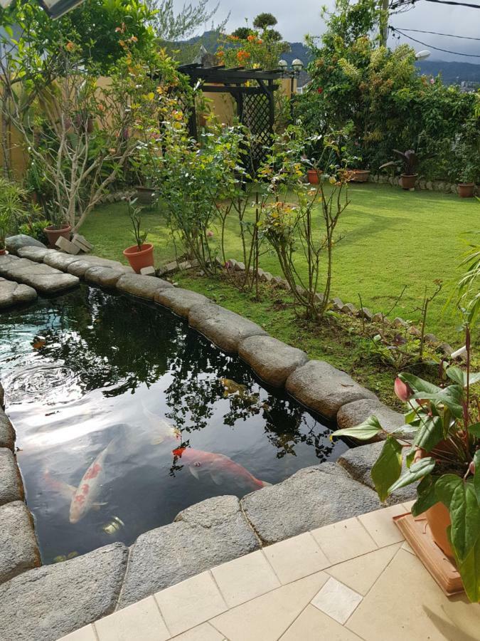 Crystal Cameron Vacation Bungalow Cameron Highlands Eksteriør billede